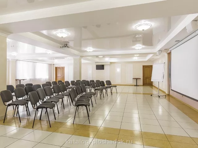 Гостиница «Аврора» — Конференц-зал «Аврора», Омск — фото 4