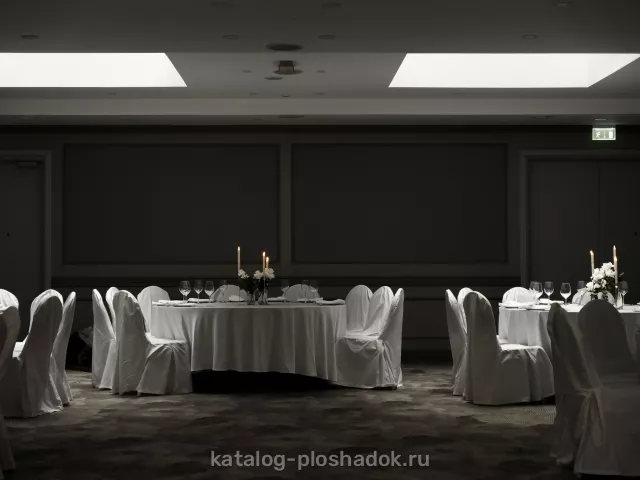 Ренартисс Исаакий Санкт-Петербург — Зал «Ренессанс», зал в отеле, Санкт-Петербург — фото 3