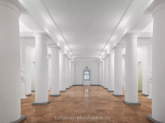 Петровский путевой дворец — Круглый зал, историческая площадка, Москва — фото 4
