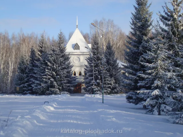 База отдыха «Родничок», загородная площадка, Омск