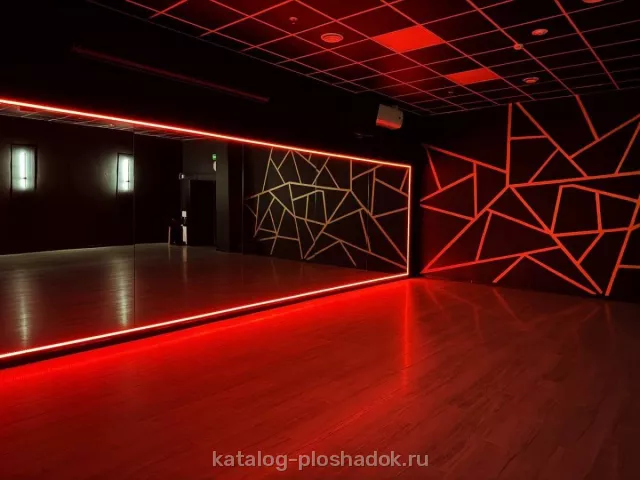 VIVA DANCE — BLACK GOLD, зал, Москва