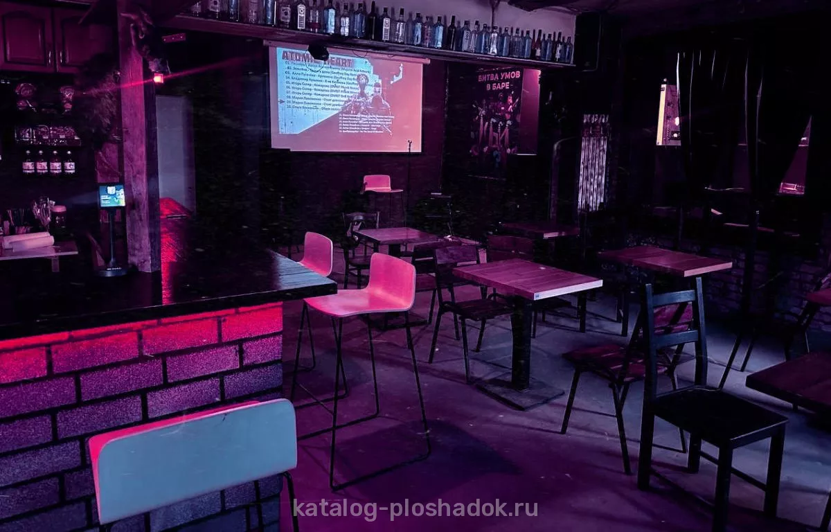Бар 4 попугая, лофт, Москва